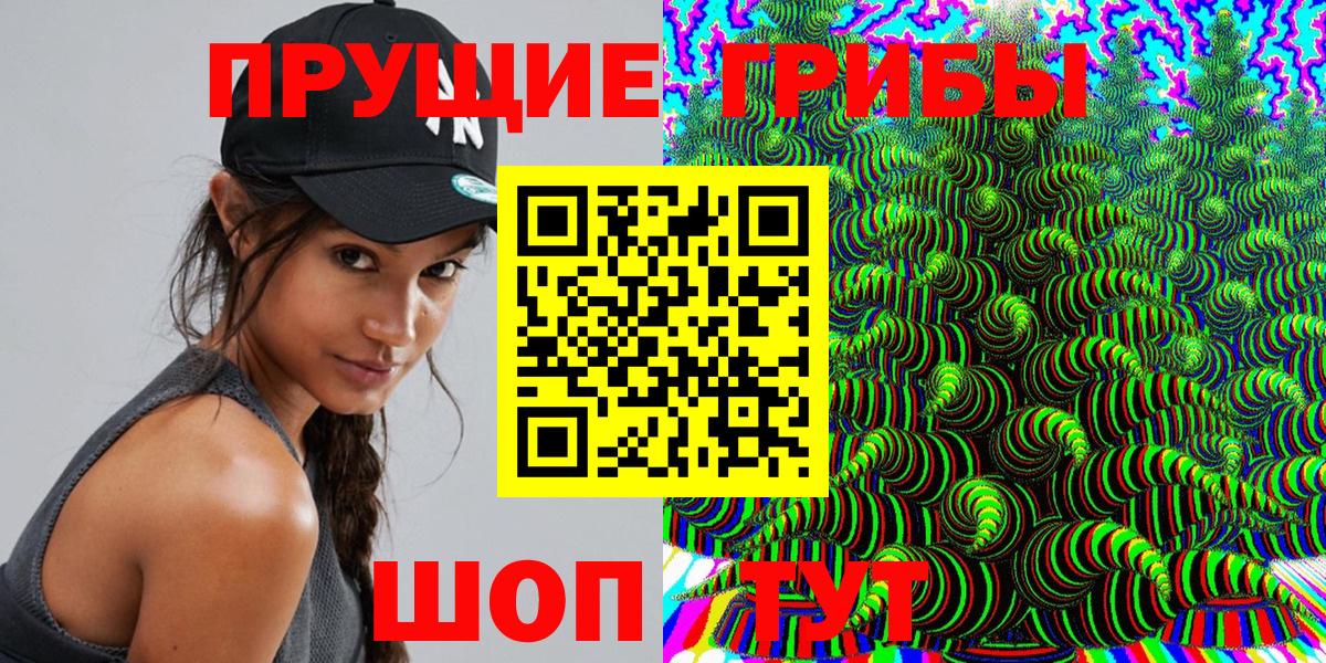 Псилоцибиновые грибы Psilocybe  Вход с VPN  Ирбит 