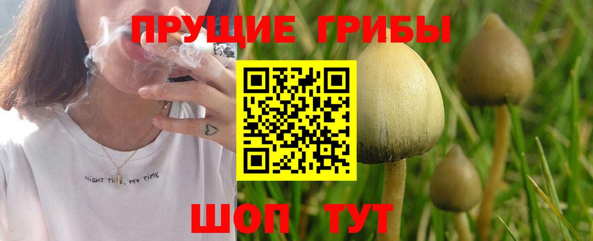 Галлюциногенные грибы MAGIC MUSHROOMS Ирбит